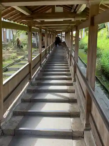 達磨堂 円福寺 のその他建物