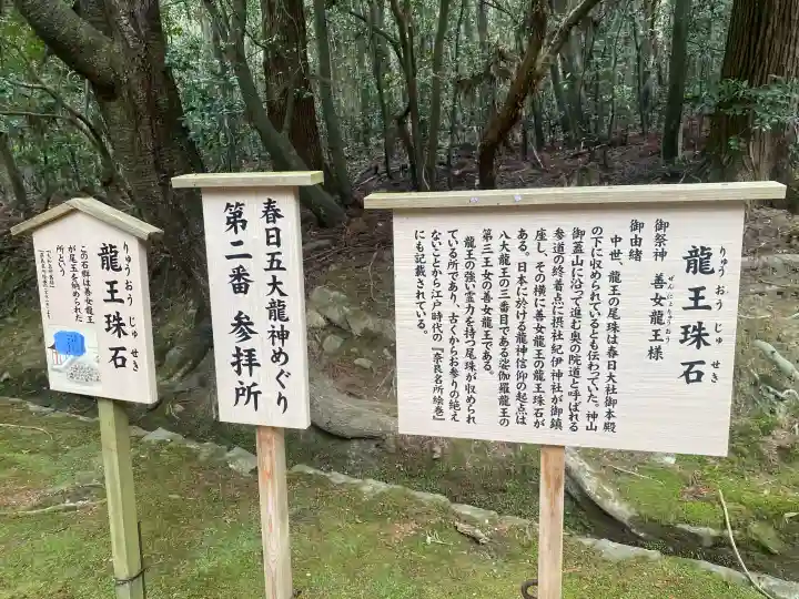 龍王珠石の{uncategorized: "未分類", other: "その他", undefined: "問題あり", building: "その他建物", grave: "お墓", sacred_gate: "鳥居", guardian: "狛犬", statue: "像", buddha: "仏像", history: "歴史", nature: "自然", garden: "庭園", animal: "動物", pagoda: "塔", temizu: "手水舎", mountain_gate: "山門・神門", sanctuary: "本殿・本堂", subordinate: "末社・摂社", art: "芸術", scenery: "景色", jizo: "地蔵", ema: "絵馬", goshuin: "御朱印", omikuji: "おみくじ", items: "授与品その他", amulet: "お守り", goshuincho: "御朱印帳", eats: "食事", festival: "お祭り", votive_dance: "神楽", shichigosan: "七五三参", wedding: "結婚式", experience: "体験その他", initially: "初詣", around: "周辺", anti_infection: "感染症対策"}