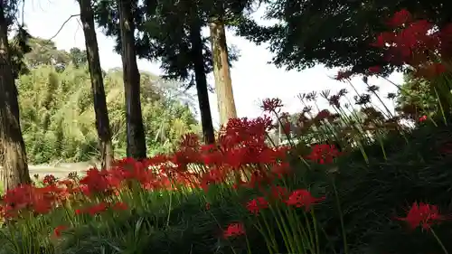駒形神社(千葉県)