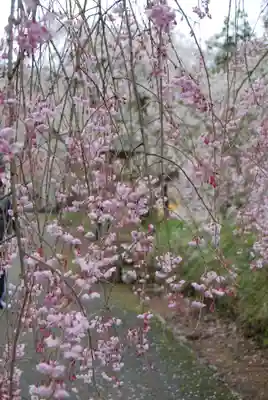 徳佐八幡宮(山口県)