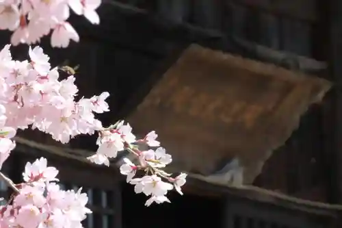 国宝 大法寺の景色