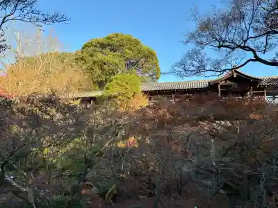 東福禅寺(東福寺)(京都府)