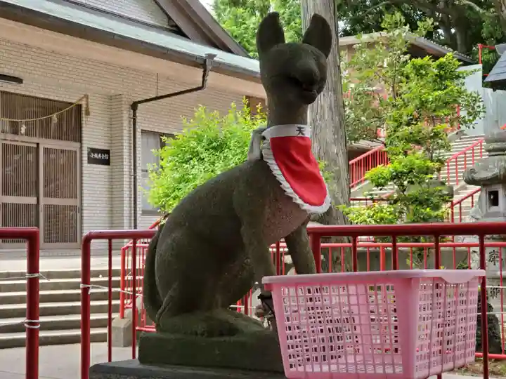 五社稲荷社の狛犬