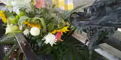 彌彦神社　(伊夜日子神社)の手水舎