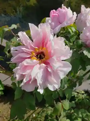 禅定院(東京都)