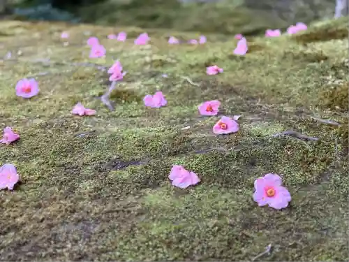 慈照寺（慈照禅寺・銀閣寺）(京都府)