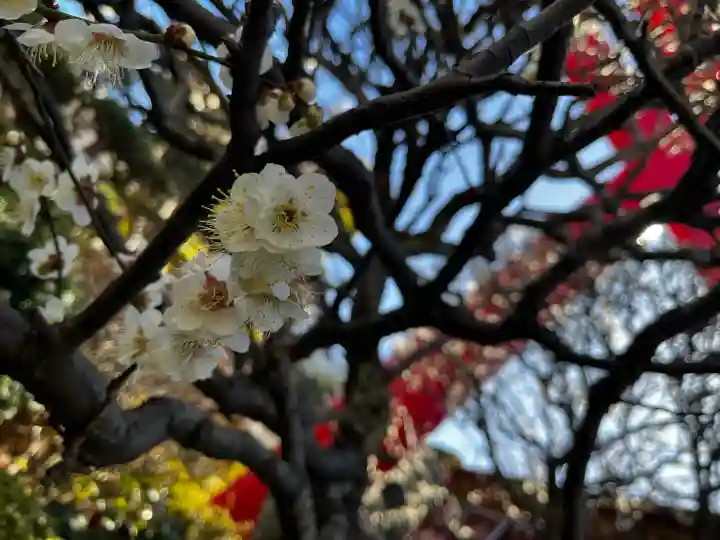 武州柿生琴平神社の{uncategorized: "未分類", other: "その他", undefined: "問題あり", building: "その他建物", grave: "お墓", sacred_gate: "鳥居", guardian: "狛犬", statue: "像", buddha: "仏像", history: "歴史", nature: "自然", garden: "庭園", animal: "動物", pagoda: "塔", temizu: "手水舎", mountain_gate: "山門・神門", sanctuary: "本殿・本堂", subordinate: "末社・摂社", art: "芸術", scenery: "景色", jizo: "地蔵", ema: "絵馬", goshuin: "御朱印", omikuji: "おみくじ", items: "授与品その他", amulet: "お守り", goshuincho: "御朱印帳", eats: "食事", festival: "お祭り", votive_dance: "神楽", shichigosan: "七五三参", wedding: "結婚式", experience: "体験その他", initially: "初詣", around: "周辺", anti_infection: "感染症対策"}