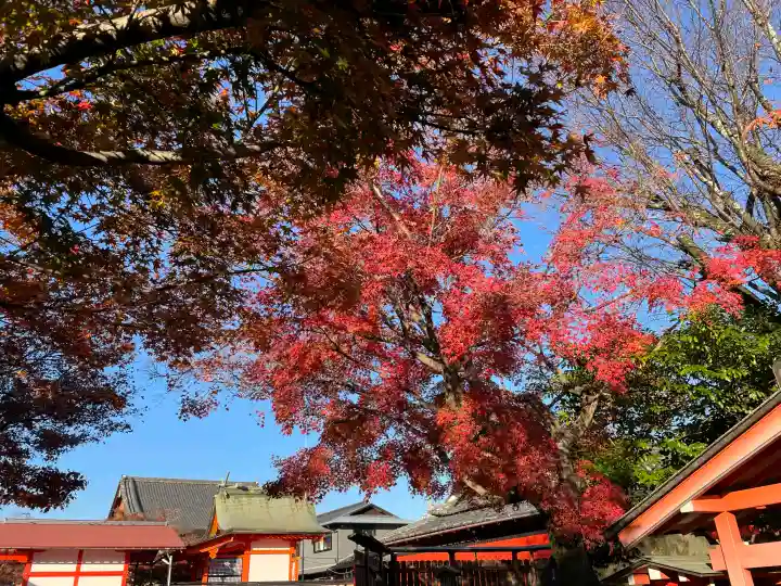 車折神社の{uncategorized: "未分類", other: "その他", undefined: "問題あり", building: "その他建物", grave: "お墓", sacred_gate: "鳥居", guardian: "狛犬", statue: "像", buddha: "仏像", history: "歴史", nature: "自然", garden: "庭園", animal: "動物", pagoda: "塔", temizu: "手水舎", mountain_gate: "山門・神門", sanctuary: "本殿・本堂", subordinate: "末社・摂社", art: "芸術", scenery: "景色", jizo: "地蔵", ema: "絵馬", goshuin: "御朱印", omikuji: "おみくじ", items: "授与品その他", amulet: "お守り", goshuincho: "御朱印帳", eats: "食事", festival: "お祭り", votive_dance: "神楽", shichigosan: "七五三参", wedding: "結婚式", experience: "体験その他", initially: "初詣", around: "周辺", anti_infection: "感染症対策"}