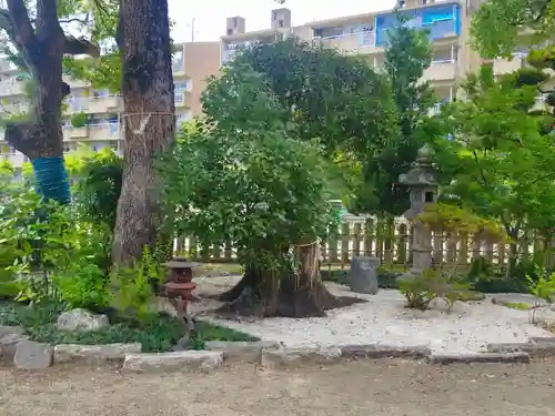 大利神社(大阪府)