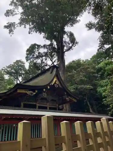 鹿島神宮の本殿