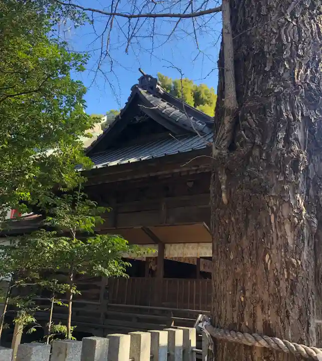 田無神社の本殿・本堂