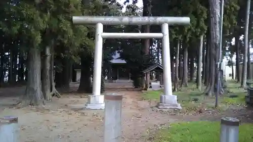 今鹿島神社の鳥居