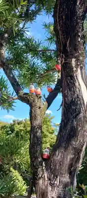 勝尾寺の{uncategorized: "未分類", other: "その他", undefined: "問題あり", building: "その他建物", grave: "お墓", sacred_gate: "鳥居", guardian: "狛犬", statue: "像", buddha: "仏像", history: "歴史", nature: "自然", garden: "庭園", animal: "動物", pagoda: "塔", temizu: "手水舎", mountain_gate: "山門・神門", sanctuary: "本殿・本堂", subordinate: "末社・摂社", art: "芸術", scenery: "景色", jizo: "地蔵", ema: "絵馬", goshuin: "御朱印", omikuji: "おみくじ", items: "授与品その他", amulet: "お守り", goshuincho: "御朱印帳", eats: "食事", festival: "お祭り", votive_dance: "神楽", shichigosan: "七五三参", wedding: "結婚式", experience: "体験その他", initially: "初詣", around: "周辺", anti_infection: "感染症対策"}