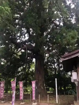 糠部神社(青森県)
