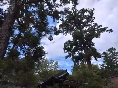 大縣神社の自然