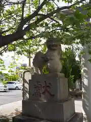 上千葉香取神社の狛犬