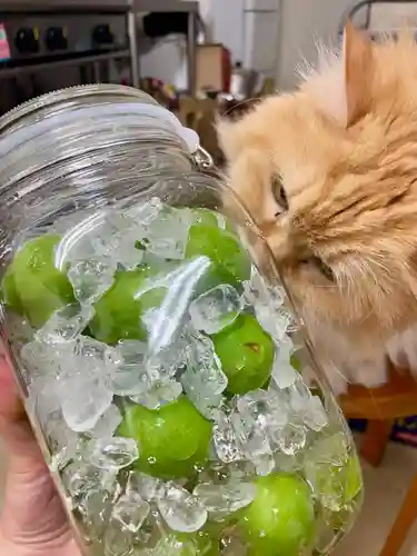 當光寺(東京都)