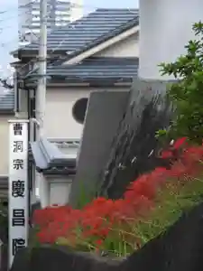 慶昌院の自然(2019年09月23日(月) 09時41分43秒投稿)