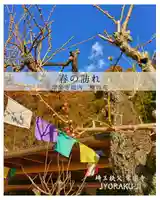 【公式】龍門院常楽寺(秩父札所十一番)(埼玉県)