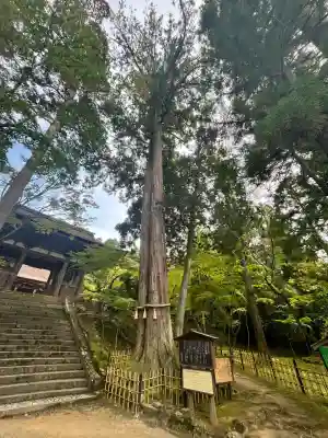 西明寺(滋賀県)