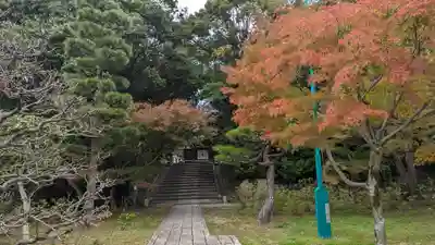  智積院(京都府)