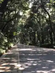 明治神宮の建物その他