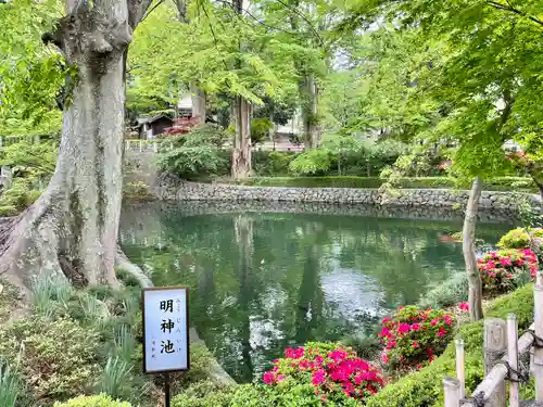 瀧宮神社の庭園