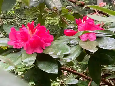 御岩神社(茨城県)