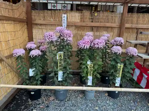 諏訪大社下社秋宮(長野県)