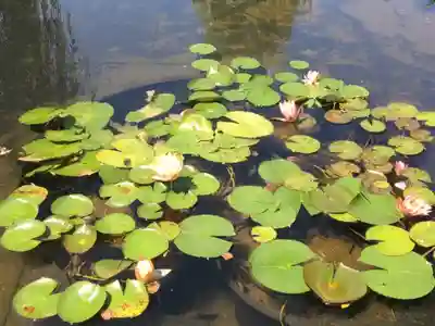 伏見稲荷神社の自然
