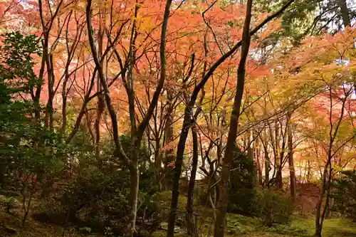 石山寺(滋賀県)