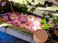 五泉八幡宮の手水舎