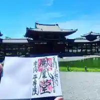 平等院の{uncategorized: "未分類", other: "その他", undefined: "問題あり", building: "その他建物", grave: "お墓", sacred_gate: "鳥居", guardian: "狛犬", statue: "像", buddha: "仏像", history: "歴史", nature: "自然", garden: "庭園", animal: "動物", pagoda: "塔", temizu: "手水舎", mountain_gate: "山門・神門", sanctuary: "本殿・本堂", subordinate: "末社・摂社", art: "芸術", scenery: "景色", jizo: "地蔵", ema: "絵馬", goshuin: "御朱印", omikuji: "おみくじ", items: "授与品その他", amulet: "お守り", goshuincho: "御朱印帳", eats: "食事", festival: "お祭り", votive_dance: "神楽", shichigosan: "七五三参", wedding: "結婚式", experience: "体験その他", initially: "初詣", around: "周辺", anti_infection: "感染症対策"}