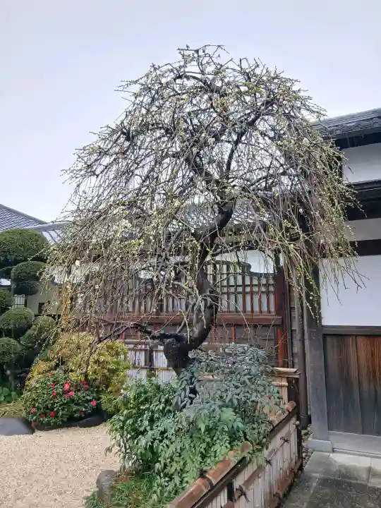 寛永寺(根本中堂)の{uncategorized: "未分類", other: "その他", undefined: "問題あり", building: "その他建物", grave: "お墓", sacred_gate: "鳥居", guardian: "狛犬", statue: "像", buddha: "仏像", history: "歴史", nature: "自然", garden: "庭園", animal: "動物", pagoda: "塔", temizu: "手水舎", mountain_gate: "山門・神門", sanctuary: "本殿・本堂", subordinate: "末社・摂社", art: "芸術", scenery: "景色", jizo: "地蔵", ema: "絵馬", goshuin: "御朱印", omikuji: "おみくじ", items: "授与品その他", amulet: "お守り", goshuincho: "御朱印帳", eats: "食事", festival: "お祭り", votive_dance: "神楽", shichigosan: "七五三参", wedding: "結婚式", experience: "体験その他", initially: "初詣", around: "周辺", anti_infection: "感染症対策"}