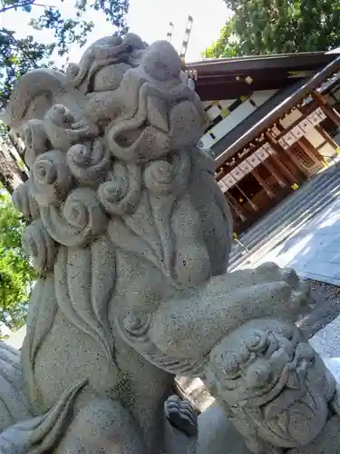 新琴似神社(北海道)