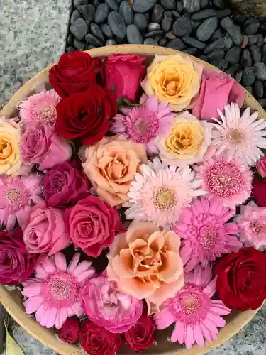 彌都加伎神社の手水舎