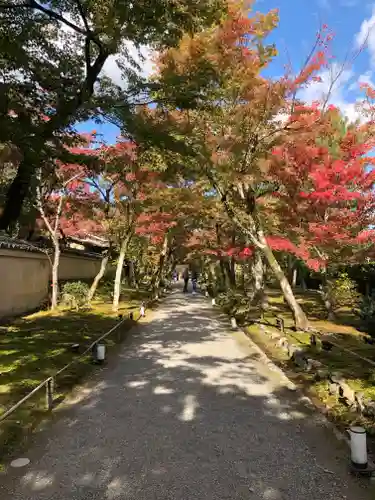 宝厳院の庭園