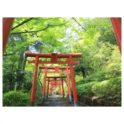 岐阜稲荷山本社(岐阜県)