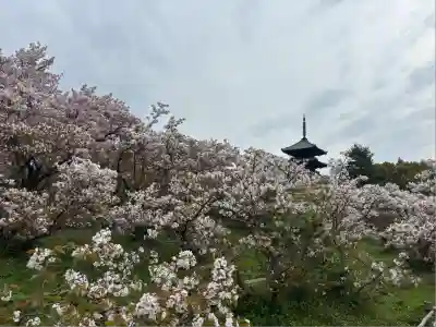仁和寺(京都府)
