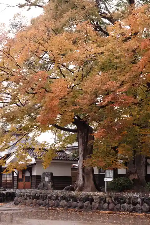 白鳥神社(長野県)
