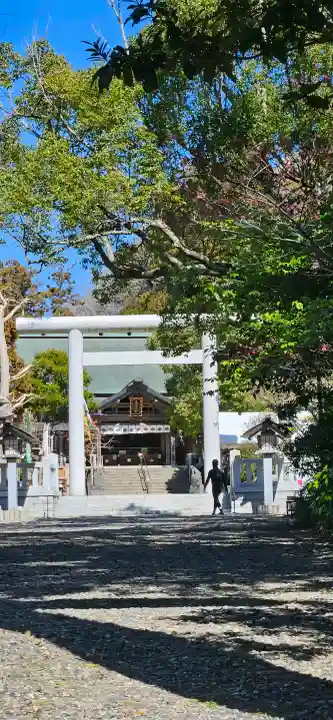 天津神明宮の{uncategorized: "未分類", other: "その他", undefined: "問題あり", building: "その他建物", grave: "お墓", sacred_gate: "鳥居", guardian: "狛犬", statue: "像", buddha: "仏像", history: "歴史", nature: "自然", garden: "庭園", animal: "動物", pagoda: "塔", temizu: "手水舎", mountain_gate: "山門・神門", sanctuary: "本殿・本堂", subordinate: "末社・摂社", art: "芸術", scenery: "景色", jizo: "地蔵", ema: "絵馬", goshuin: "御朱印", omikuji: "おみくじ", items: "授与品その他", amulet: "お守り", goshuincho: "御朱印帳", eats: "食事", festival: "お祭り", votive_dance: "神楽", shichigosan: "七五三参", wedding: "結婚式", experience: "体験その他", initially: "初詣", around: "周辺", anti_infection: "感染症対策"}