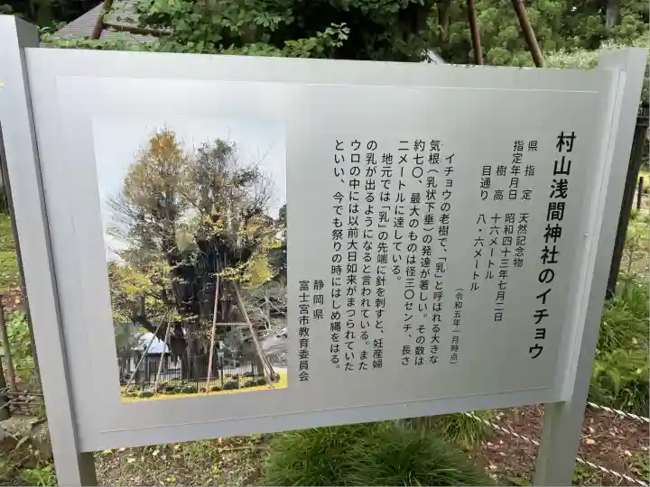 村山浅間神社(静岡県)