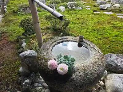 金剛寺(大阪府)