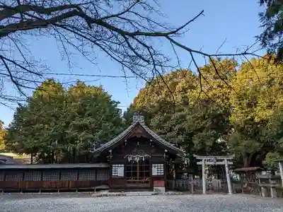 八幡社(柏井町)の本殿・本堂