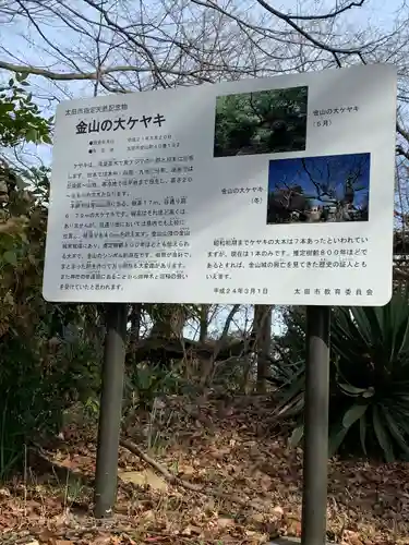 新田神社の歴史