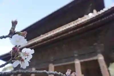 南禅寺(京都府)