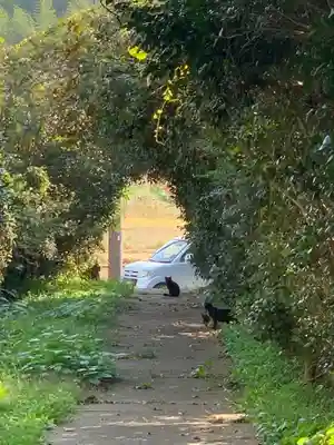 東勝寺(千葉県)