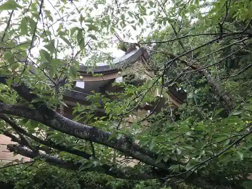 光雲神社(福岡県)
