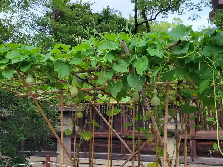 豊国神社の自然