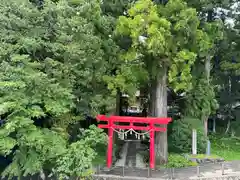 須山浅間神社(静岡県)